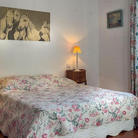 Mas De Charme En Pleine Camargue Villa Saint-Gilles  Eksteriør bilde