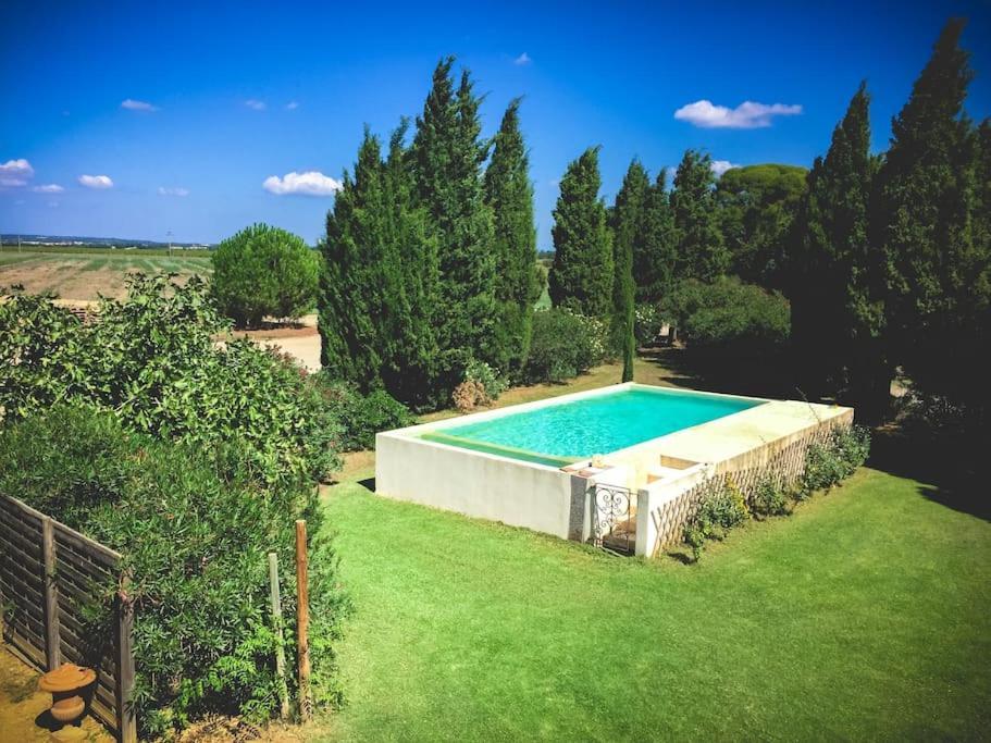 Mas De Charme En Pleine Camargue Villa Saint-Gilles  Eksteriør bilde