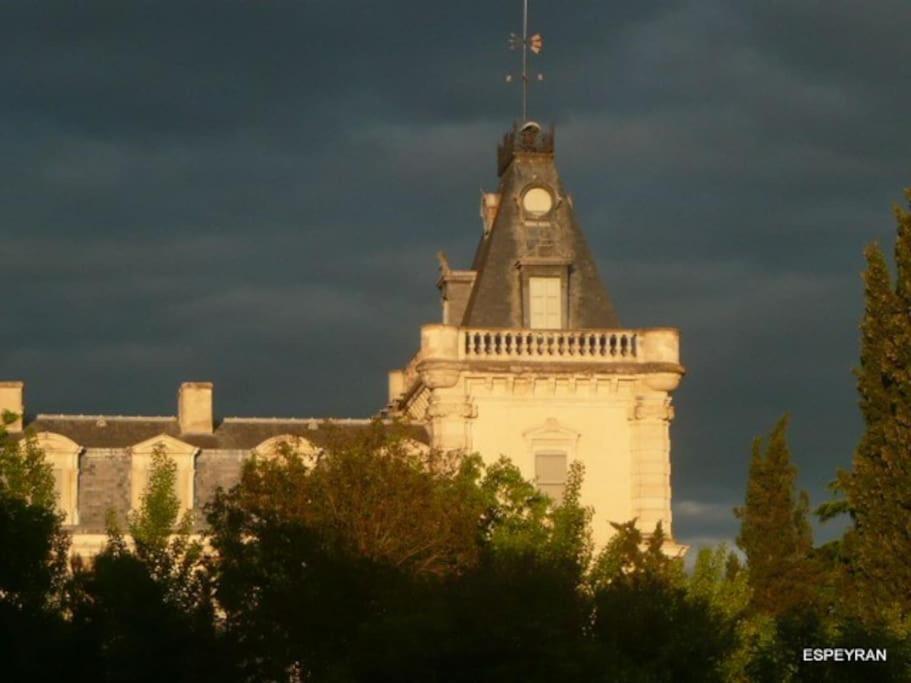 Mas De Charme En Pleine Camargue Villa Saint-Gilles  Eksteriør bilde